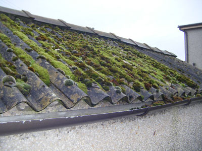 Asbestos cement roof